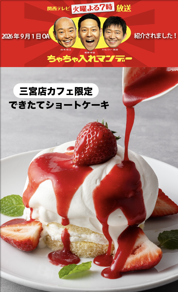 ちゃちゃ入れマンデーオンエア